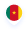 cameroon flag